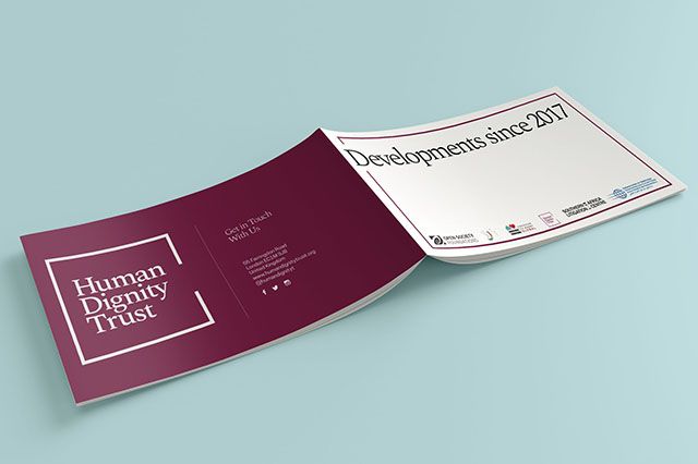 Developments in Strategic Litigation since 2017