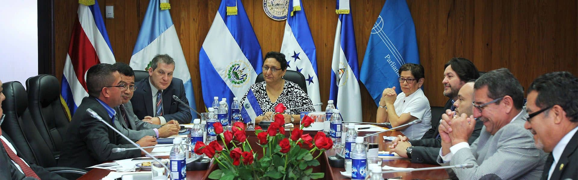 Trabajando dentro del parlamento