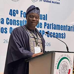 Bamidele Salam