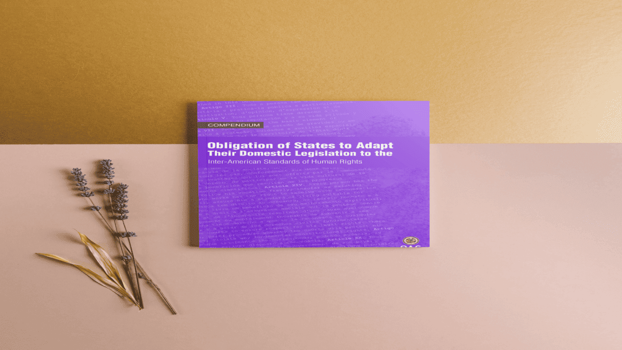 Obligation of States to Adapt Their Domestic Legislation to the Inter-American Standards of Human Rights