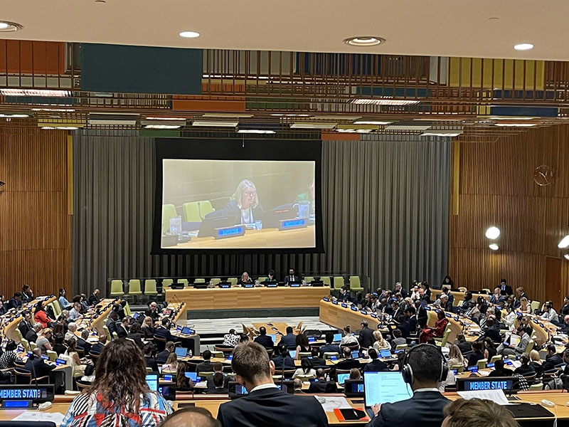 Special session on the review of the amendments on the crime of aggression at the UN Headquarters in July 2025