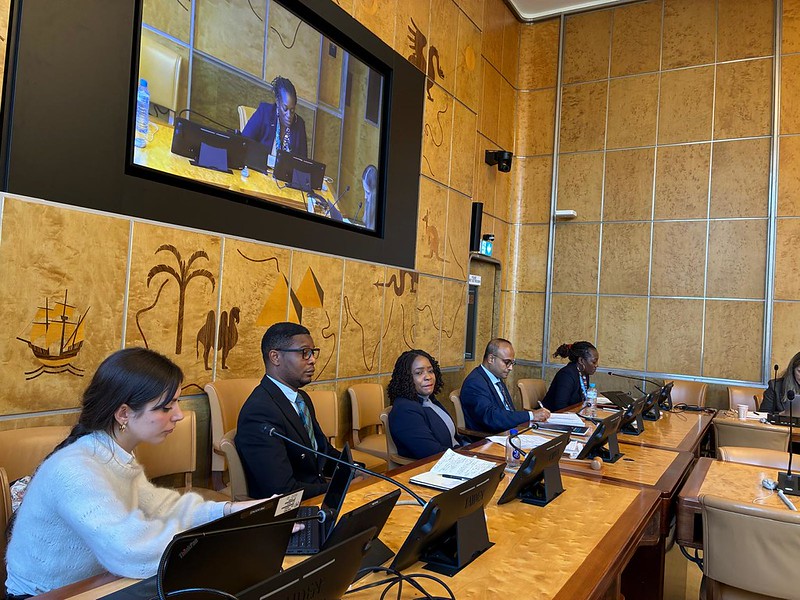 Informational Meeting on the Universal Periodic Review Process in Malawi in Geneva in November 2025