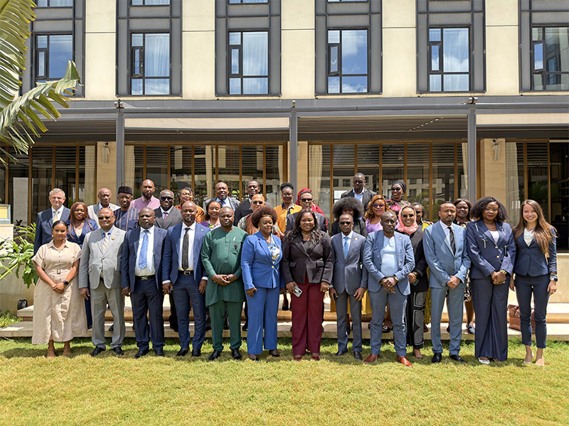 Meeting of the Africa Working Group on International Justice in November 2025