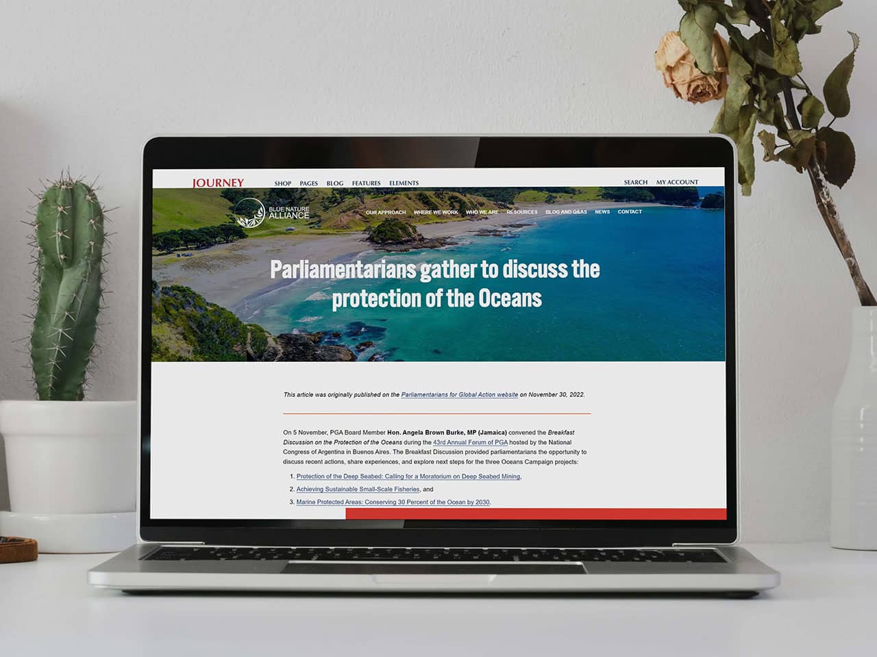 Blue Nature Alliance