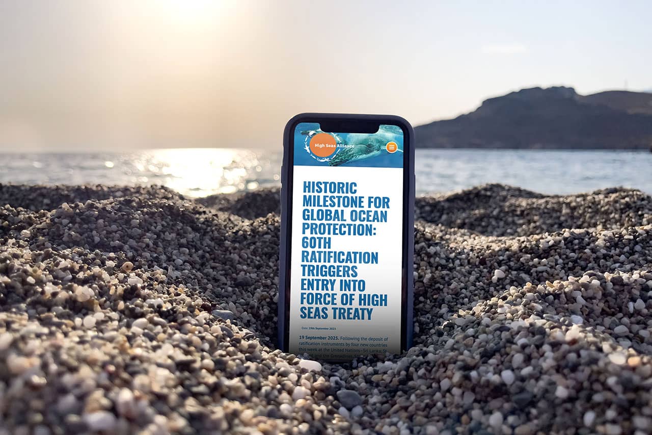 Historic Milestone For Global Ocean Protection: 60th Ratification Triggers Entry Into Force Of High Seas Treaty