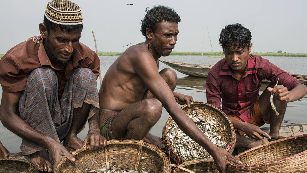 Projet sur l’amélioration de la durabilité de la pêche artisanale et la mise en œuvre de l’ODD 14.b