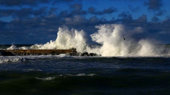 PGA Statement on the Recent Volcanic Eruption and Tsunami in Tonga