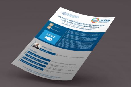The Role of Parliamentarians in Protecting the Oceans and Implementing SDG14