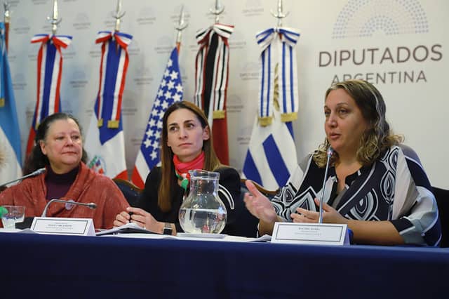 The Argentinian National Group is Chaired by Dip. Carla Pitiot.