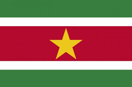 PGA Congratulates Suriname on its Ratification of Arms Trade Treaty