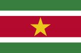 PGA Congratulates Suriname on its Ratification of Arms Trade Treaty