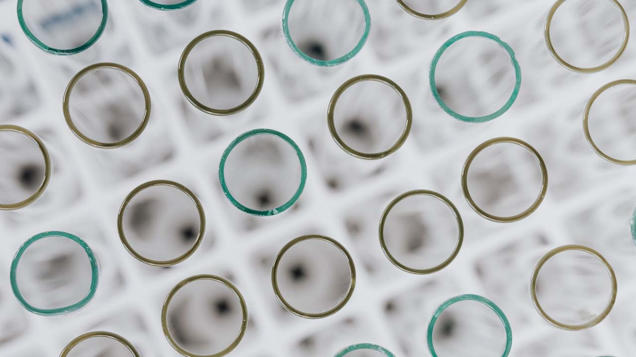 Biological Security - Weekly Update - February 2022