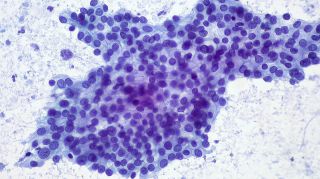 Photo by Karolina Grabowska from Pexels