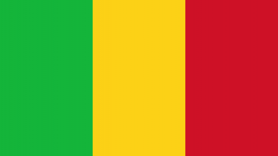 PGA Condemns the Military Coup in Mali