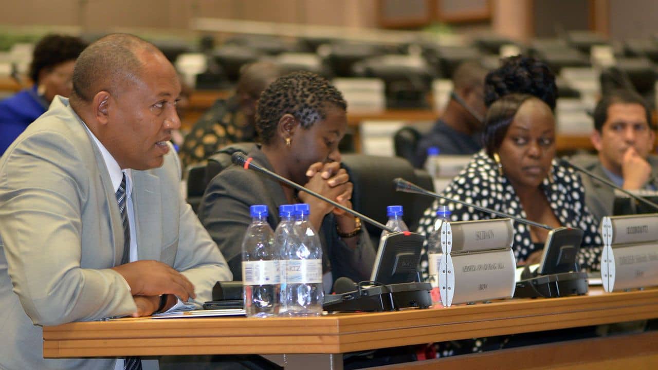 Hon. Yusuph Abdallah Nassir MP (Tanzania) at the Pan-African Parliament Joint Committee Session on the Arms Trade Treaty.