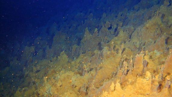 Global Parliamentarians Call for a Moratorium on Deep Seabed Mining