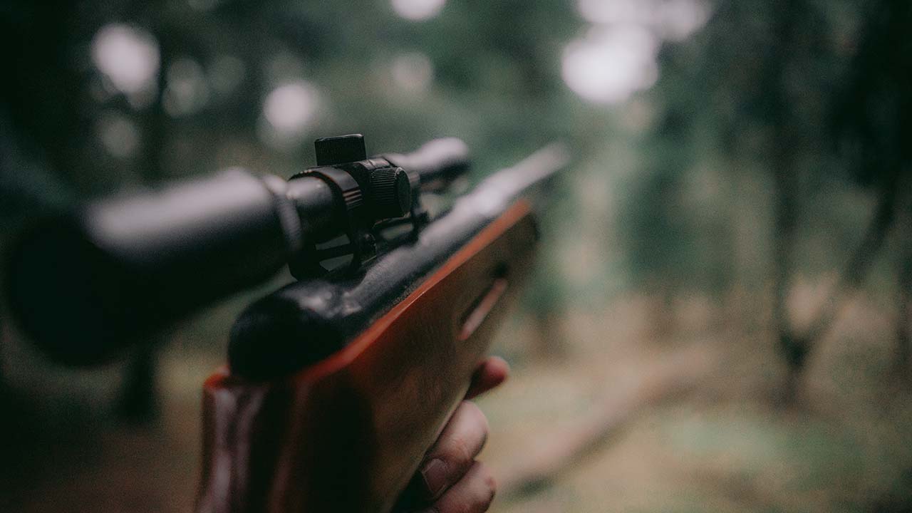 SALW/ATT - Weekly Updates - November 2022