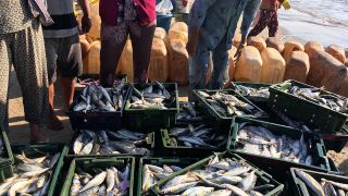 South African Legislators Assess Resilience of Small-Scale Fisheries