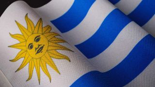 Photo by Engin Akyurt: https://www.pexels.com/photo/flag-of-uruguay-15483633/