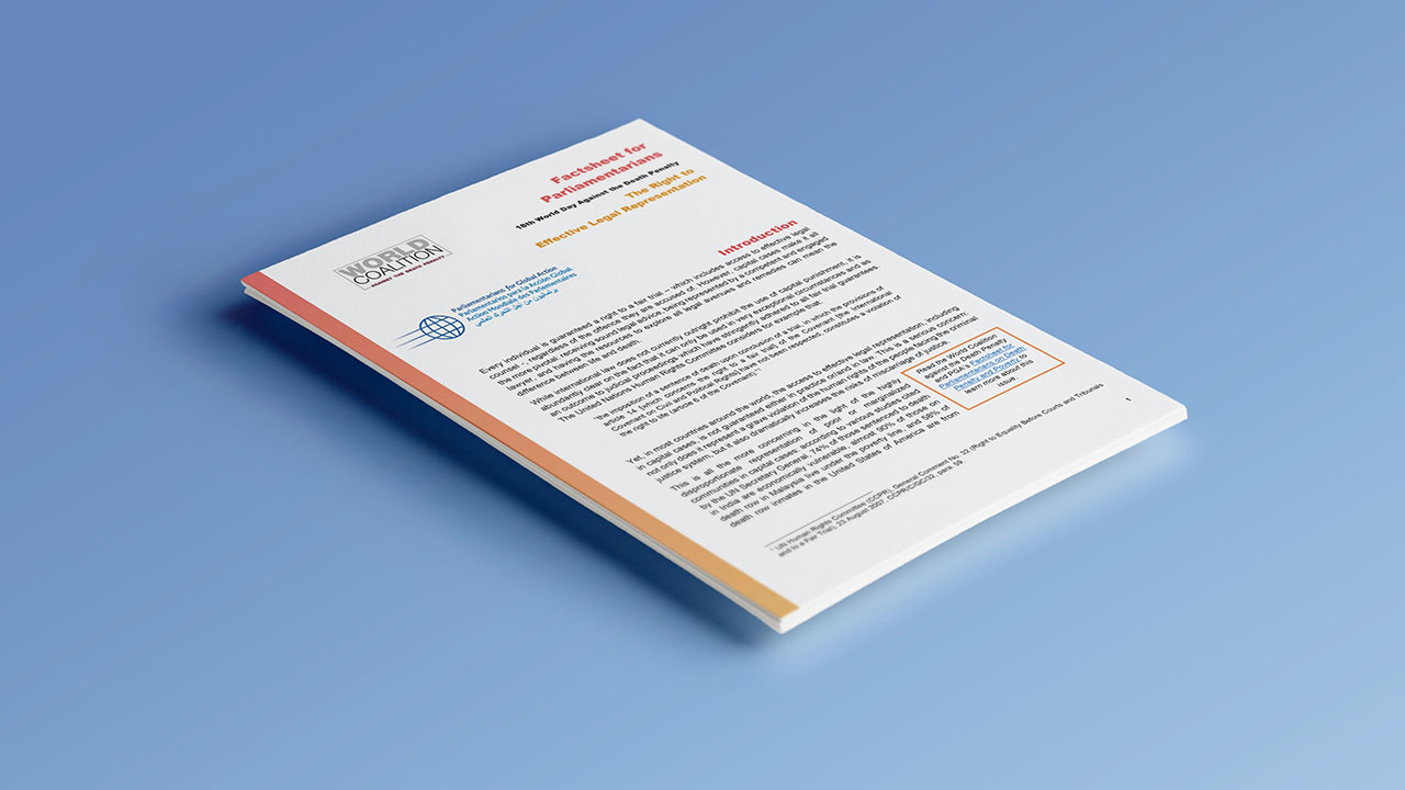 Ficha Informativa para los Parlamentarios sobre el derecho a una representación legal efectiva