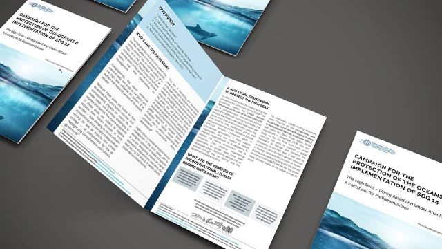 The High Seas – Unregulated and Under Attack