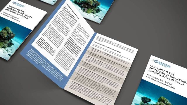 Protecting the Deep Seabed