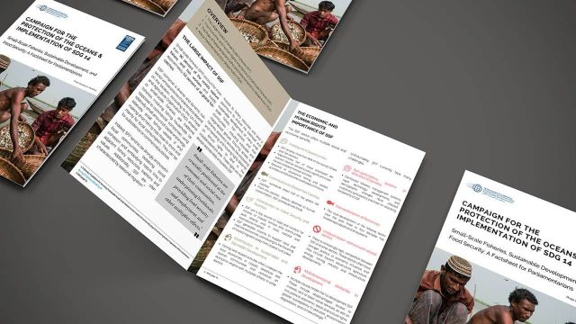 Small-Scale Fisheries, Sustainable Development, and Food Security