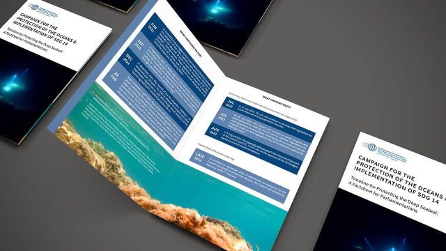 Timeline for Protecting the Deep Seabed