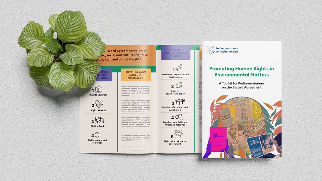 Promoting Human Rights in Environmental Matters