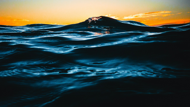 A Historic Milestone in High Seas Ocean Governance 