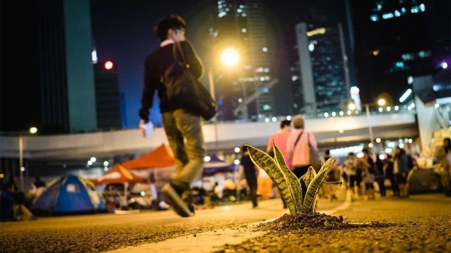 Campaign for Democratic Renewal and Human Rights