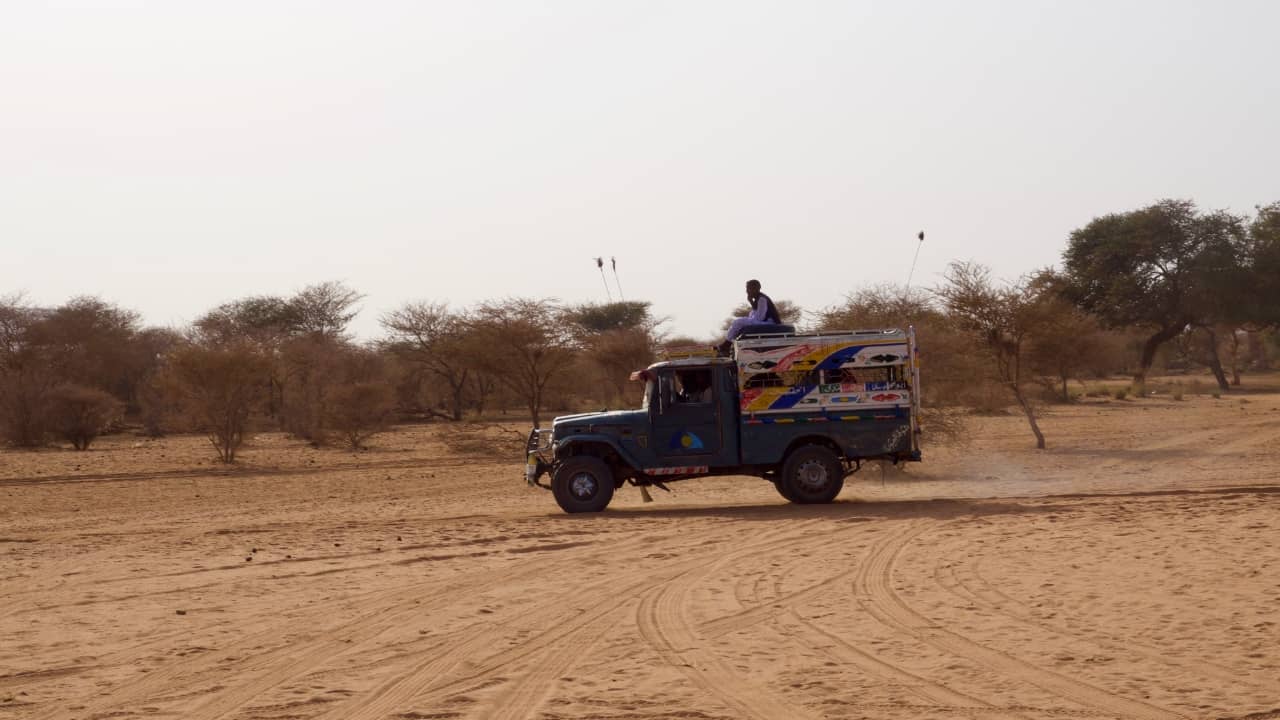 International Justice Update - August 2025