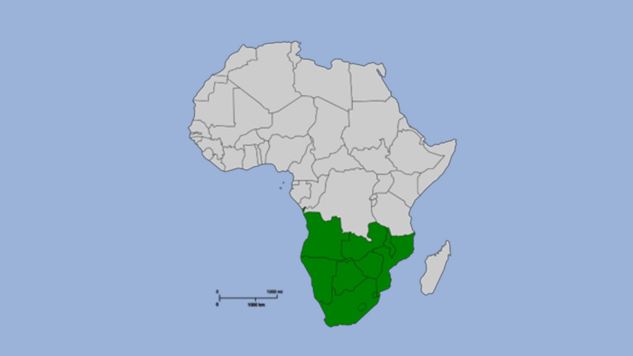 African Parliamentarians and Human Rights Leaders Exchange Regional Lessons on Countering Hate Speech and Strengthening Democratic Accountability