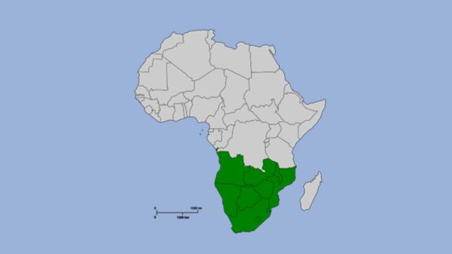 African Parliamentarians and Human Rights Leaders Exchange Regional Lessons on Countering Hate Speech and Strengthening Democratic Accountability
