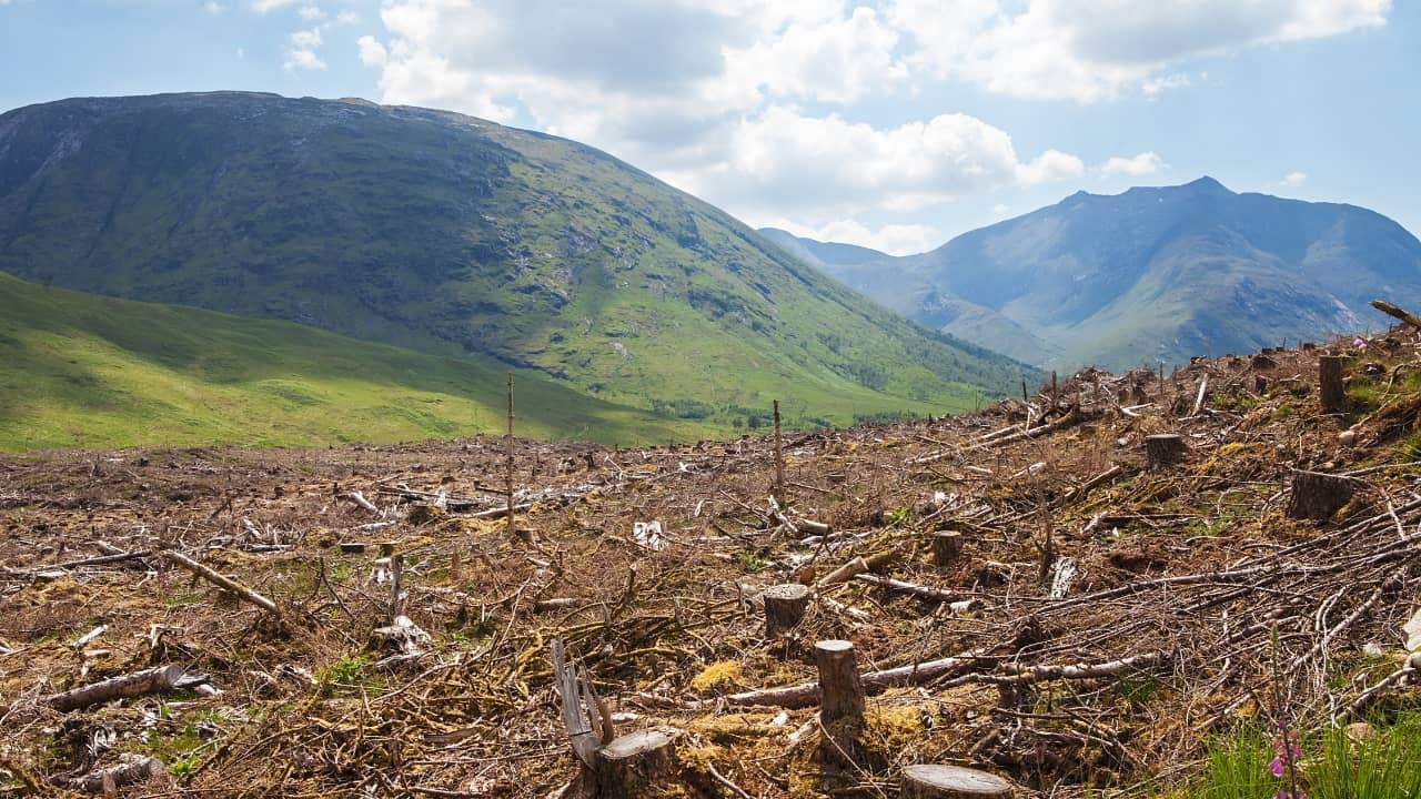 International Justice Update - February 2026