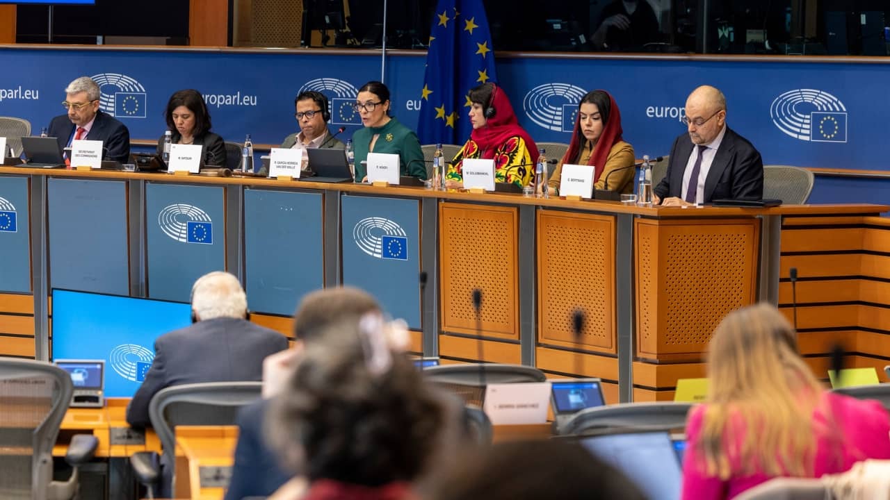International Justice Campaign Update – June 2026