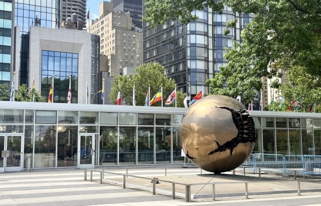 Parliamentary Resolution in Support of a UN Special Rapporteur on Democracy