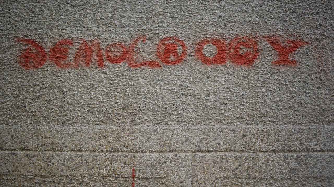 Parliamentary Resolution in Support of a UN Special Rapporteur on Democracy