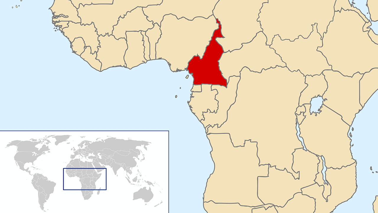 The global PGA network calls all relevant bodies of the International Community to take action to restore democracy and human rights under the Rule of Law in Cameroon.