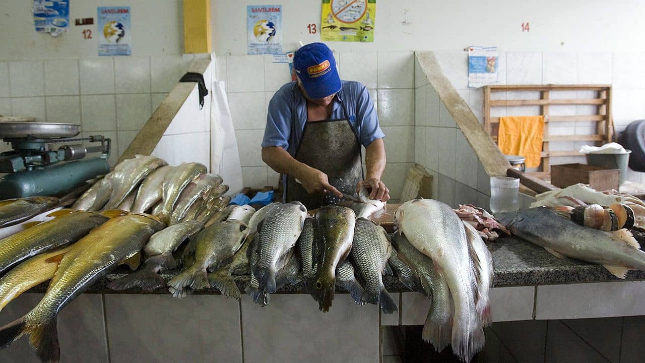 A resident of the National Tapajos forest of 35 communities living in government protected area sells a variety of fish caught in the Amazon River, running directly through the landscape. UN Photo/Eskinder Debebe