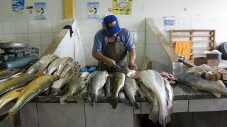 Projet sur la lutte contre la pêche illicite, non déclarée et non réglementée (INN) et la mise en œuvre des ODD 14.4 et 14.6