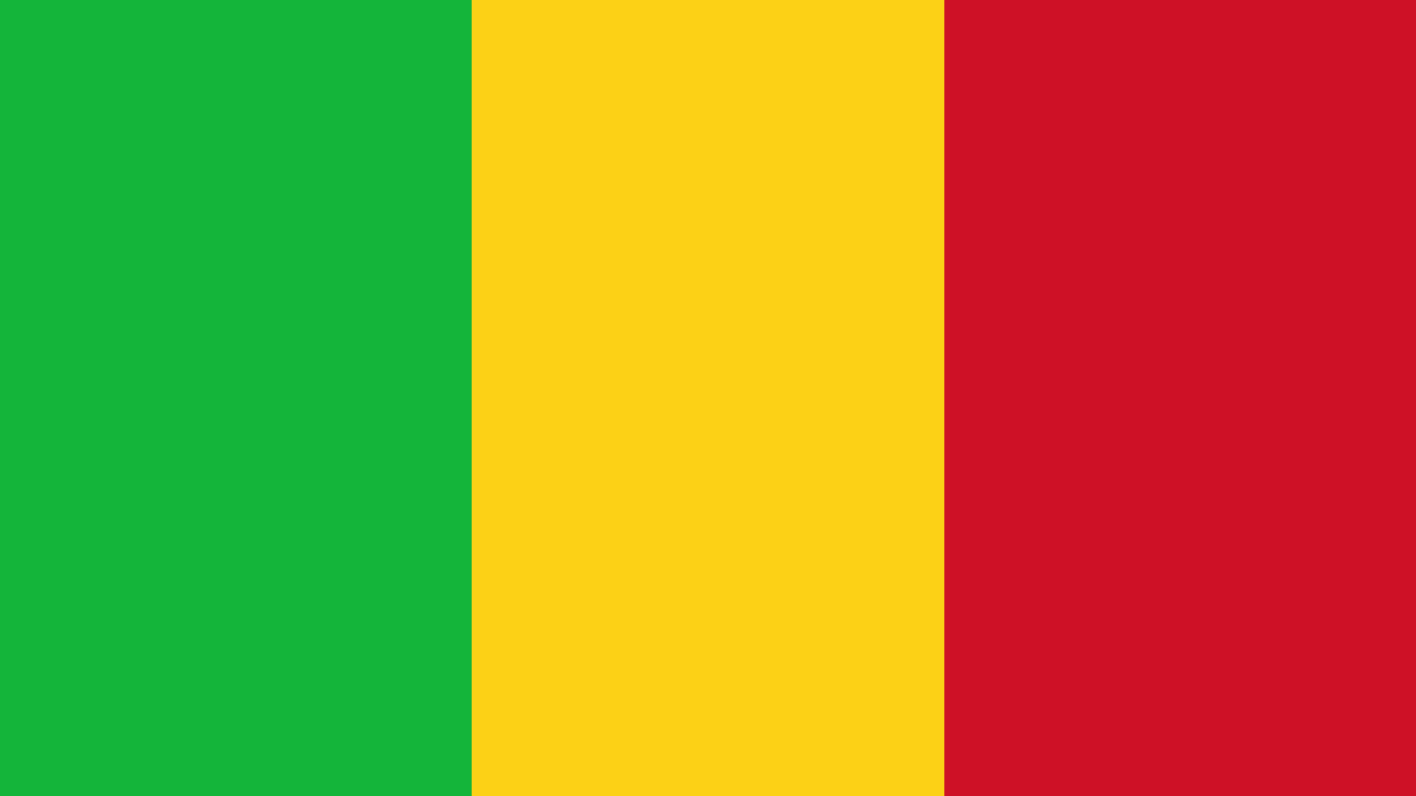 Citation du Député Boubacar DIARRA Président de PGA-Mali concernant l’ouverture d’une enquête par la Procureure de la CPI pour les crimes de guerre commis au Mali depuis janvier 2012
