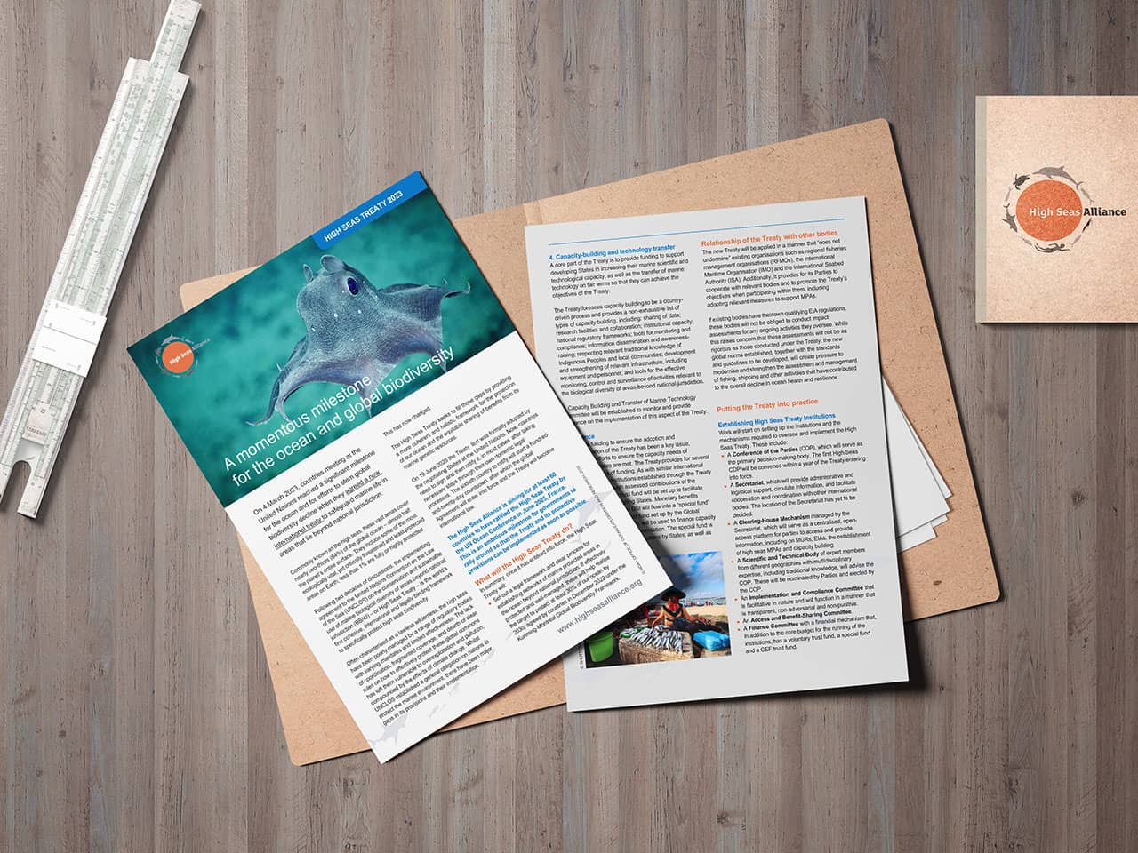 Download the Factsheet for Parliamentarians: The High Seas – Unregulated and Under Attack