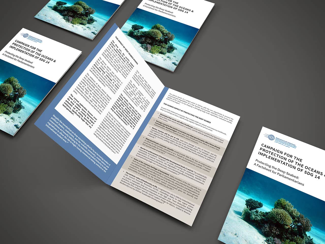 Factsheet for Parliamentarians: Protecting the Deep Seabed