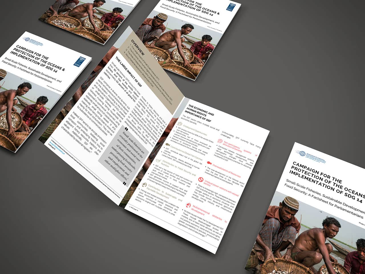 Factsheet for Parliamentarians: Small-Scale Fisheries, Sustainable Development, and Food Security