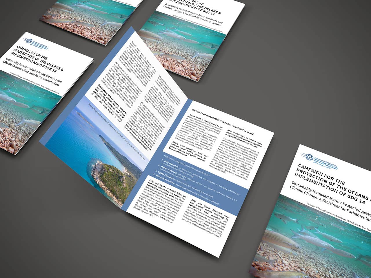 Factsheet for Parliamentarians: Sustainably Managed Marine Protected Areas and Climate Change