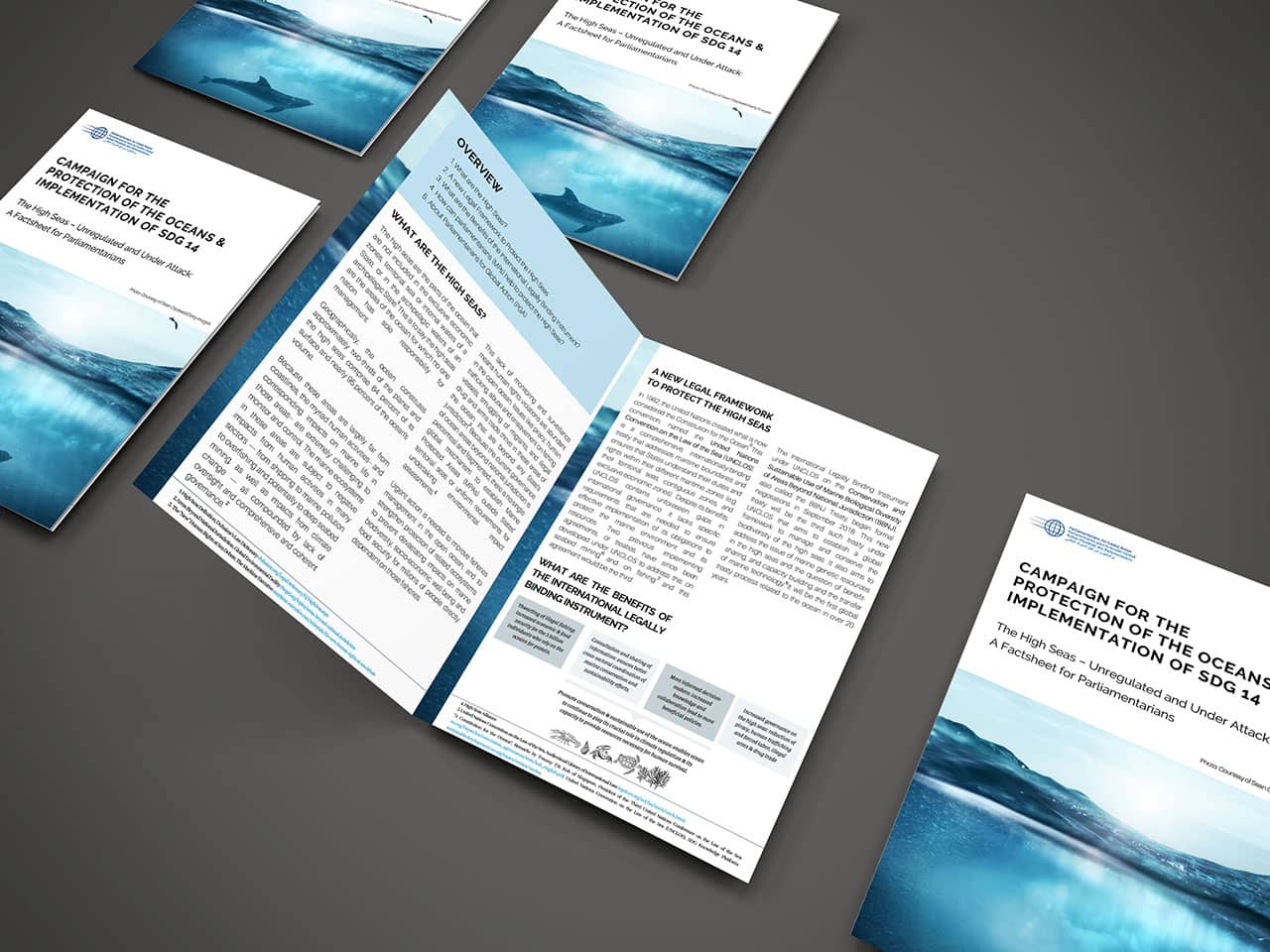 Factsheet for Parliamentarians: The High Seas – Unregulated and Under Attack