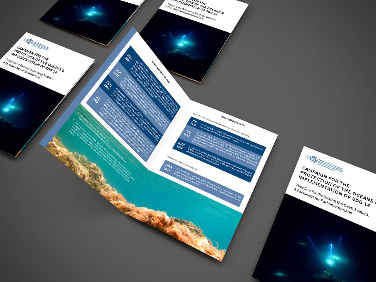 Factsheet for Parliamentarians: Timeline for Protecting the Deep Seabed