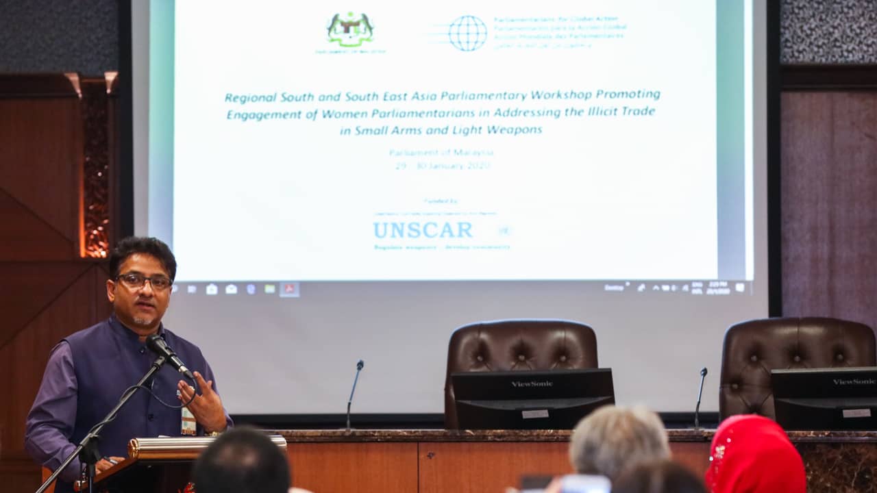 International Peace and Security Program