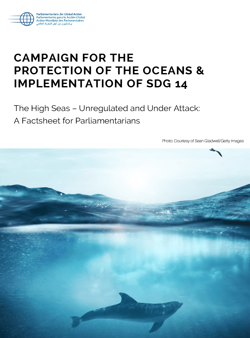 Factsheet for Parliamentarians: The High Seas – Unregulated and Under Attack